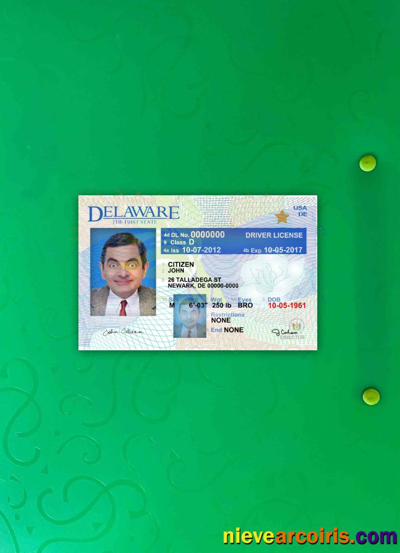 USA Delaware driving license version 2 photolook
